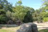 Tierpark Hagenbeck-Hamburg-120904-DSC_0778.JPG