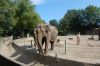 Tierpark Hagenbeck-Hamburg-120904-DSC_0802.JPG