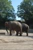 Tierpark Hagenbeck-Hamburg-120904-DSC_0803.JPG