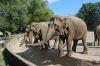 Tierpark Hagenbeck-Hamburg-120904-DSC_0826.JPG