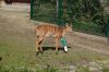 Zoo-Hannover-110409-DSC_0081.JPG