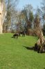 Zoo-Hannover-110409-DSC_0123.JPG