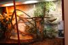 BergZoo-Halle-120826-DSC_0064_0066.JPG