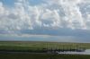 Seehundstation-Friedrichskoog-100828-DSC_0205.JPG